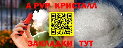 дмт Аргун