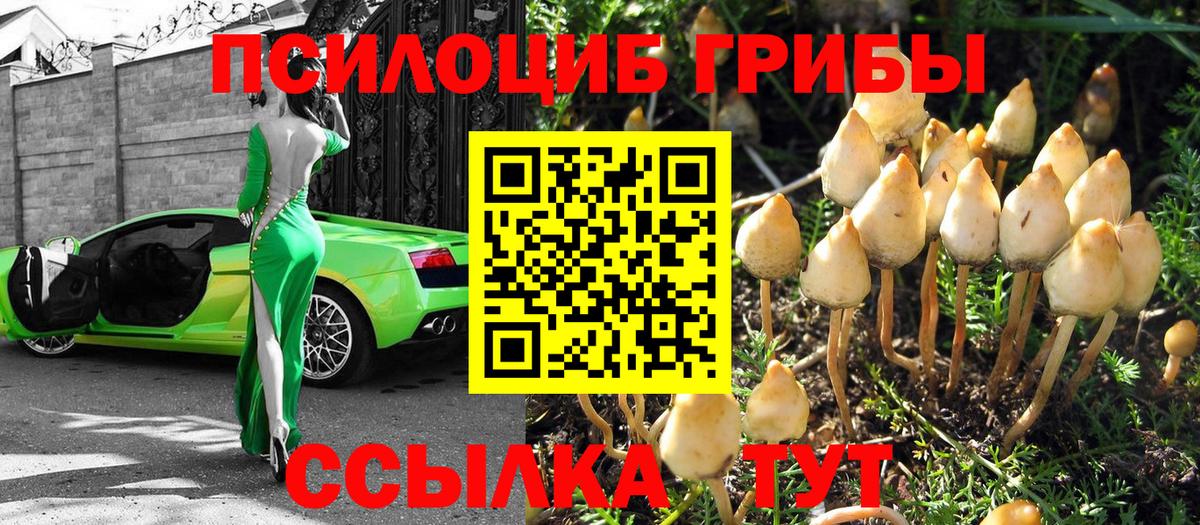 Апрелевка  Галлюциногенные грибы Psilocybine cubensis  Вход с VPN  Галлюциногенные грибы MAGIC MUSHROOMS 